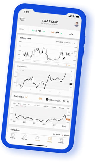 Frontier Wertmere digital web application on mobile device